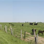 Salem County Farm Roads - Featherbed Lane, Pilesgrove