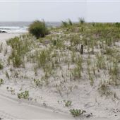 Margate Beach