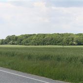 Gloucester County Farm Roads - Monroeville Road, Mullica Hill