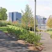 Newark Riverfront Park