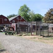 Metropolitan Farm