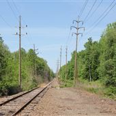 Closter Train Tracks
