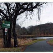 Black Brook Park
