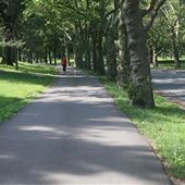 Brookdale Park