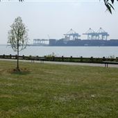 G. Thomas DiDomenico Park