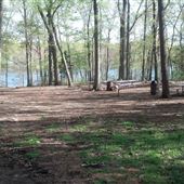 Bicentennial Park