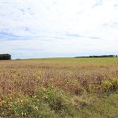 Cumberland County Farm Roads - Roadstown Shiloh Road, Hopewell Township