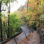 Palisades Interstate Park - Henry Hudson Drive