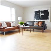 House #10182488