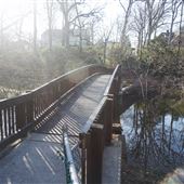 Bogert's Pond Footpath