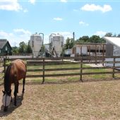 Rutgers University, Cook-Douglass Campus - Rutgers Farm