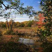 Boundary Creek Natural Resource Area