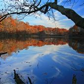 Crystal Lake Park