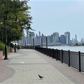 Waterfront Walkway