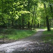Bonnabel Nature Park