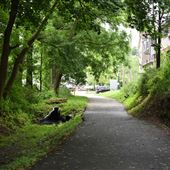 Sussex Branch Rail Trail - Newton