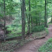 The Rutgers University Ecological Preserve