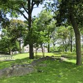 Mercer Park