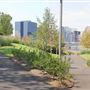 Newark Riverfront Park