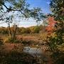 Boundary Creek Natural Resource Area