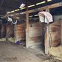 Union County Stables