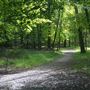 Bonnabel Nature Park