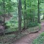 The Rutgers University Ecological Preserve