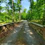 Rock Mill Preserve