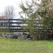 Echo Lake Stables