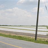Salem County Farm Roads - Point Airy Road, Pilesgrove