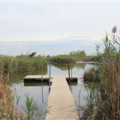 Liberty State Park - Nature Interpretive Center