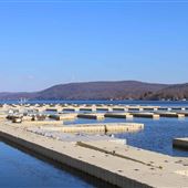 Sportsman Marina