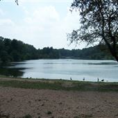Saddle River County Park - Otto C. Pehle Area