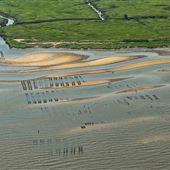 Rutgers Cape Shore Laboratory