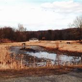 Hackettstown State Fish Hatchery
