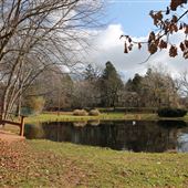 Tommy's Pond