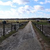 Longwait Horse Farms