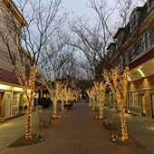 Kings Court