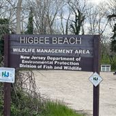 Higbee Beach