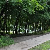 West Essex Trail