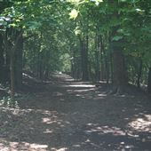 Highwood Hills Preserve