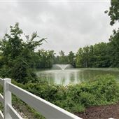Oak Tree Pond