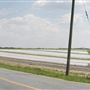 Salem County Farm Roads - Point Airy Road, Pilesgrove