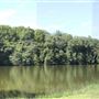 Englishtown Raceway Park - Fields, Forests, and Lake