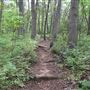 Hartshorne Woods County Park - Buttermilk Valley
