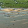 Rutgers Cape Shore Laboratory