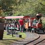 Bergen County Zoo Train
