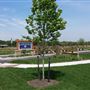 Rainbow Meadow Park