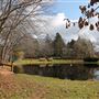 Tommy's Pond