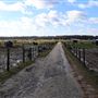 Longwait Horse Farms